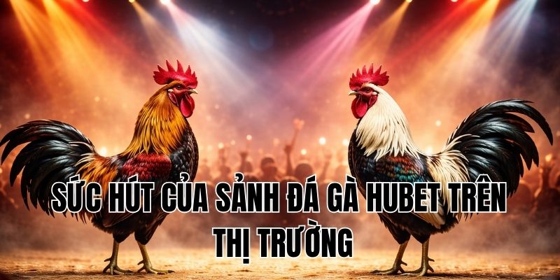 Sức hút của sảnh đá gà Hubet trên thị trường